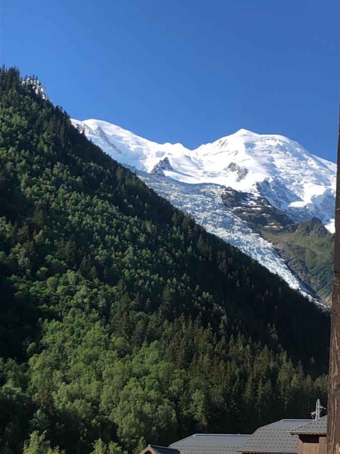 Aiguille Du Midi - Le Chamo'Nid Apartment Chamonix Bagian luar foto